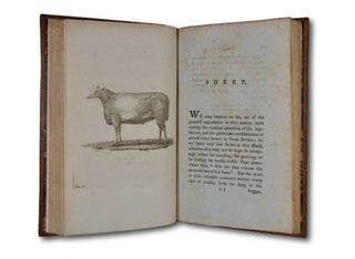 Observations on Live Stock; Containing Hints for Choosing and Improving the Best Breeds of the Most Useful Kinds of Domestic Animals.