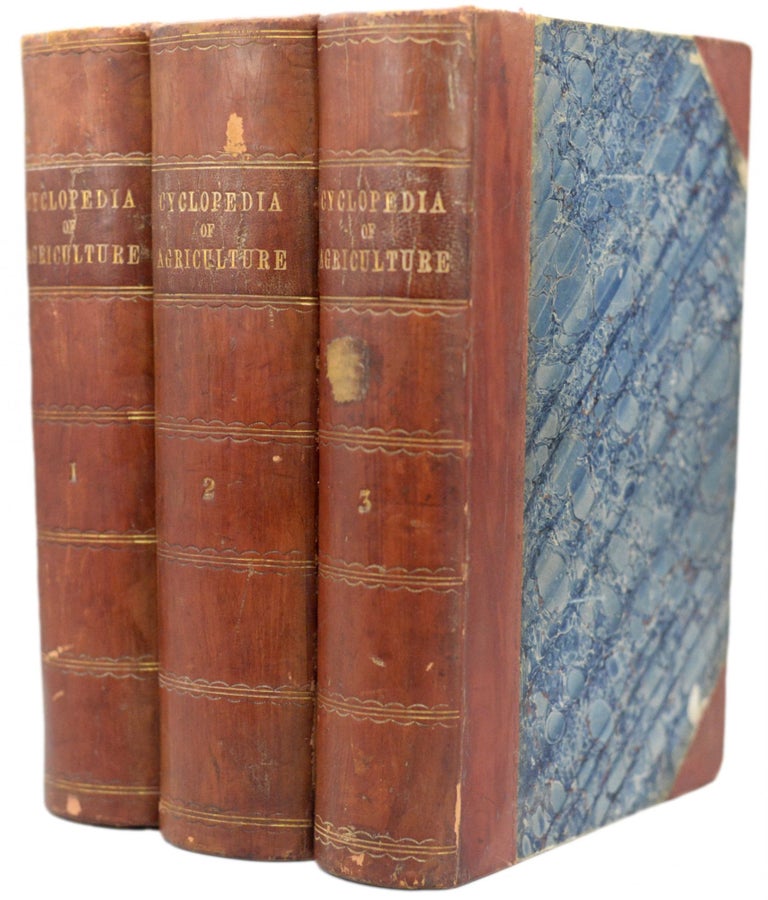 Item #91 A Cyclopedia of Agriculture, Practical and Scientific in which the Theory, the Art, and the Business of Arming are Thoroughly and Practically Treated. John C. Morton.